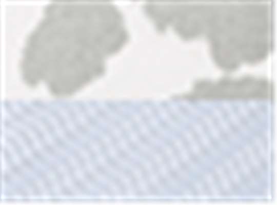 Swatch for Grey Cow/ White