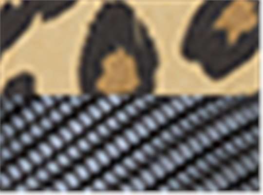 Swatch for Leopard/ Black