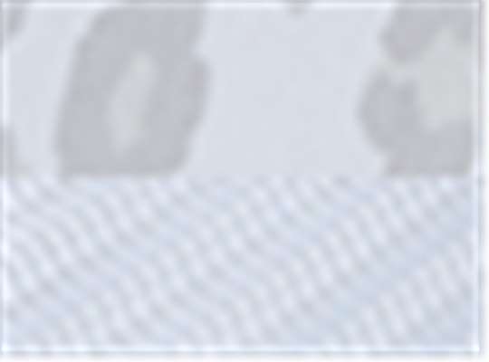 Swatch for Snow Leopard/ White