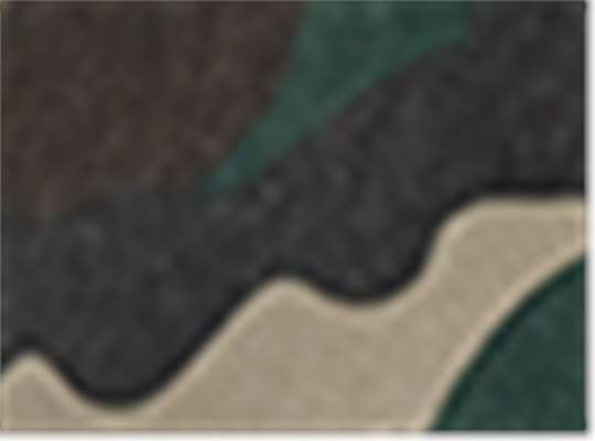 Swatch for Fashion Camo