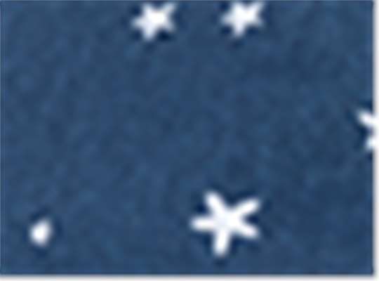 Swatch for Navy/ White Stars