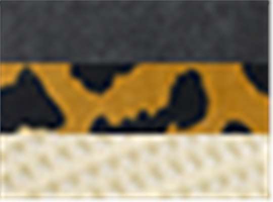 Swatch for Black/ Leopard