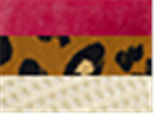 Swatch for Red/ Leopard