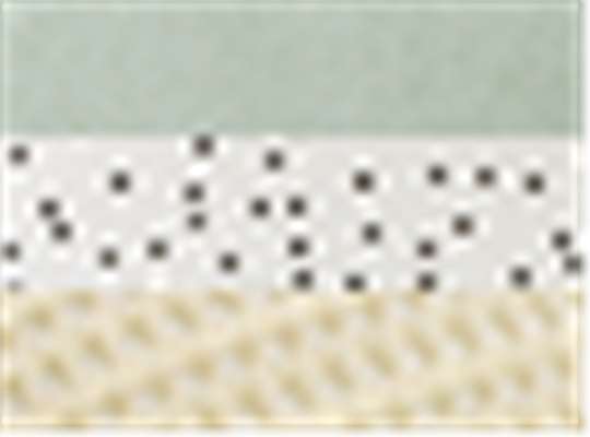 Swatch for Sage/ Polka Dots