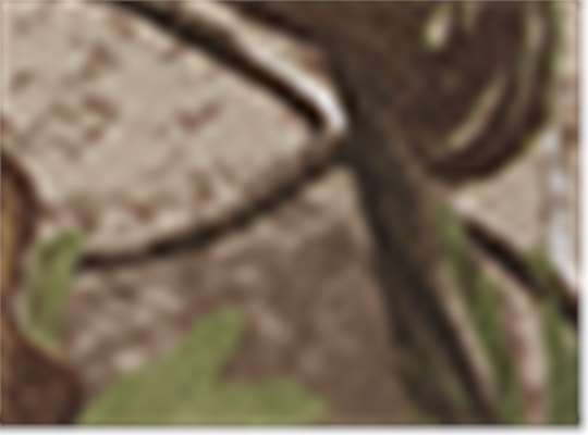 Swatch for Realtree Ap Green