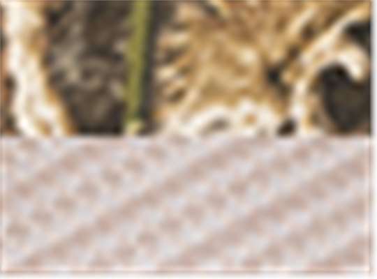 Swatch for Realtree Max 5/ Tan