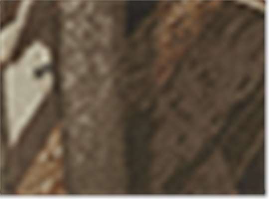 Swatch for Realtree Max-5