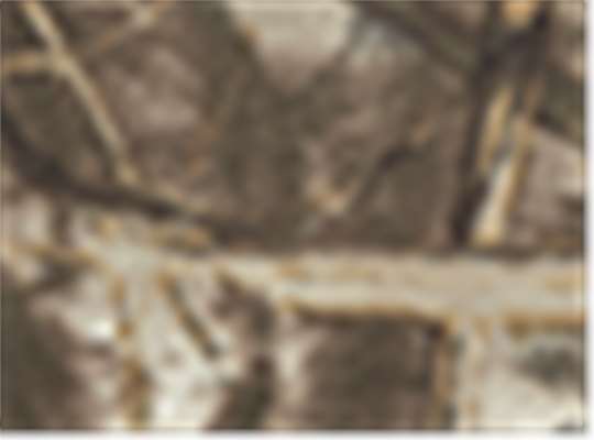 Swatch for Realtree Max4