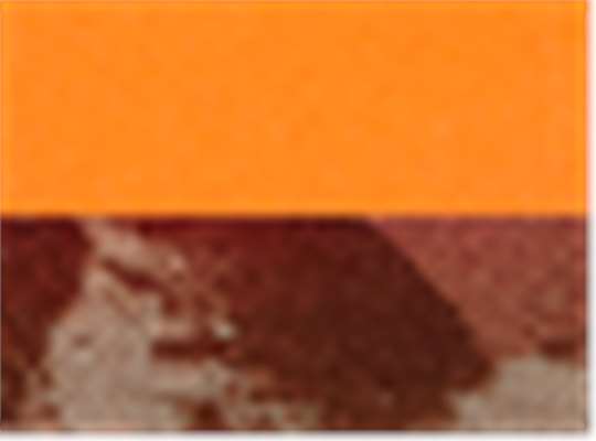 Swatch for Blaze/ Realtree Hardwoods