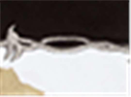 Swatch for Ap White/ Black