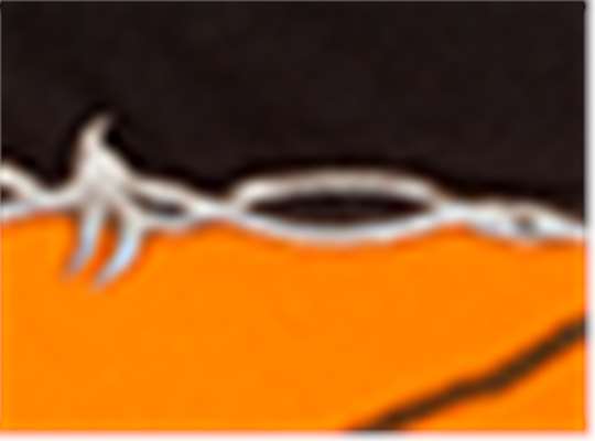 Swatch for Black/ Blaze Ap