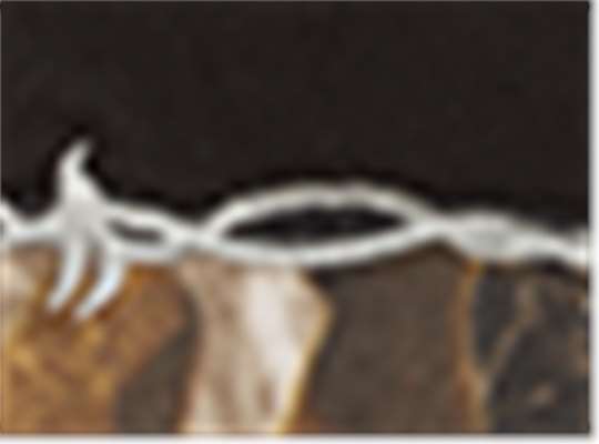 Swatch for Black/ Realtree Ap