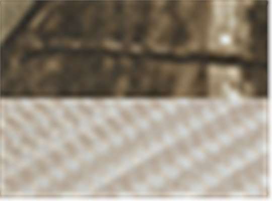 Swatch for Realtree Ap/ Tan