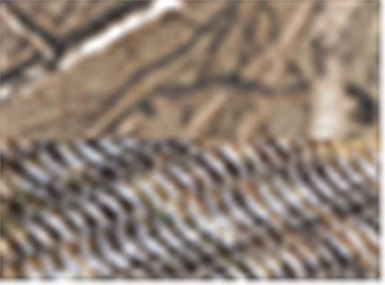 Swatch for Realtree Xtra