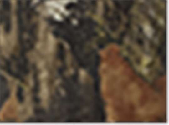Swatch for Mossy Oak Breakup