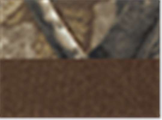 Swatch for Realtree Ap/ Brown
