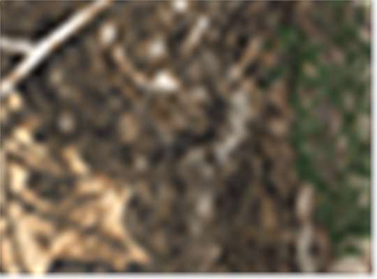 Swatch for Realtree Edge