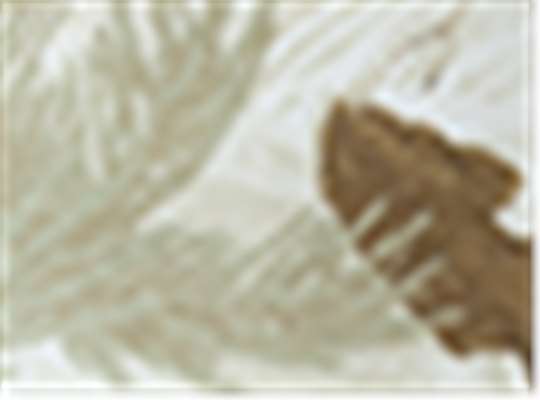 Swatch for White Realtree Ap