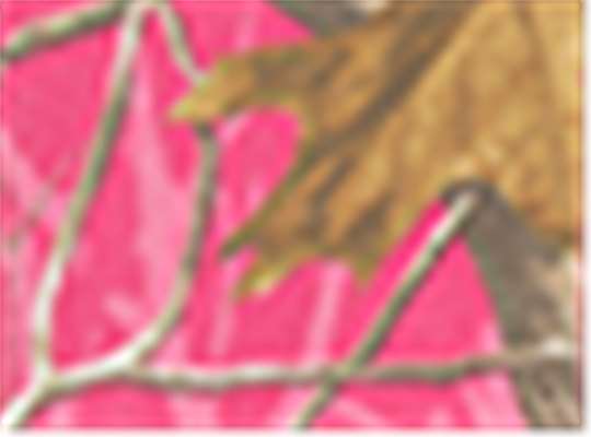 Swatch for Hot Pink Realtree Ap