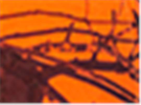 Swatch for Mossy Oak Break-Up Blaze Orange