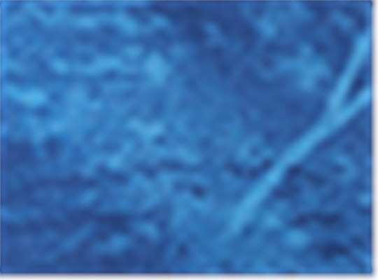 Swatch for Realtree Fishing Blue