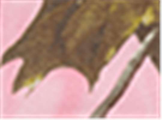 Swatch for Pink Realtree Ap
