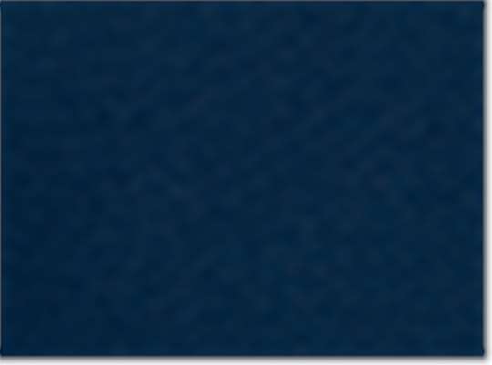 Swatch for Navy/ Usa
