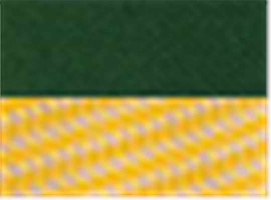 Swatch for Dark Green/ Gold