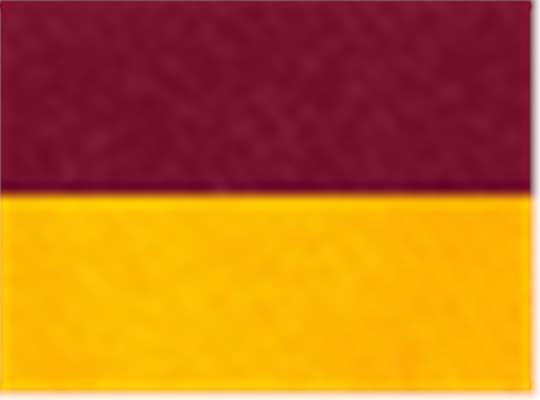 Swatch for Cardinal/ Gold