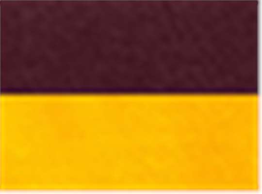 Swatch for Maroon/ Gold