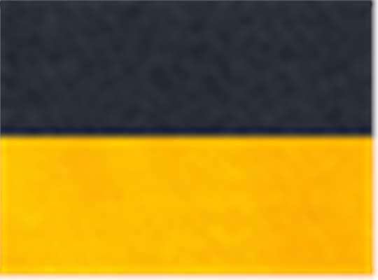 Swatch for Navy/ Gold