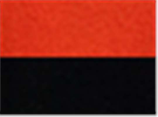 Swatch for Orange/ Black