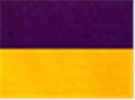 Swatch for Purple/ Gold