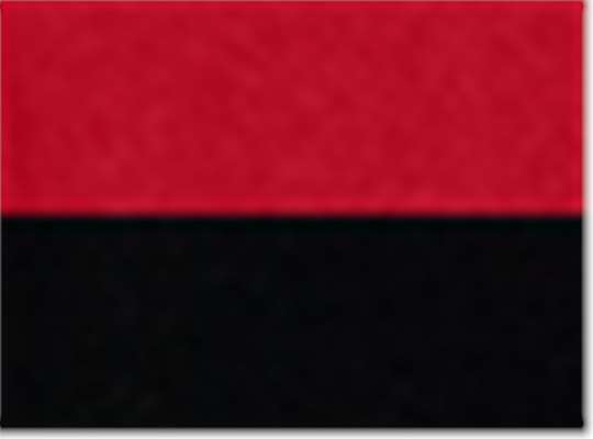 Swatch for Red/ Black