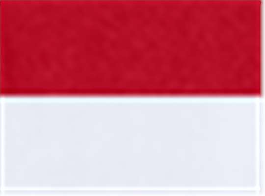 Swatch for Red/ White