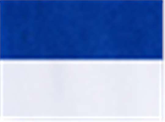 Swatch for Royal/ White