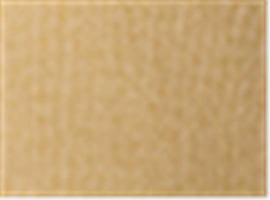 Swatch for Camel