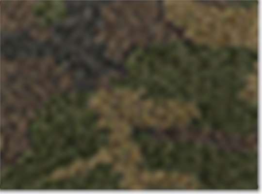 Swatch for Green Camo