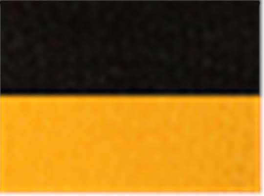 Swatch for Black/ Gold