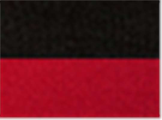 Swatch for Black/ Red