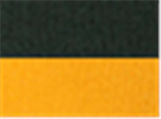 Swatch for Forest/ Gold