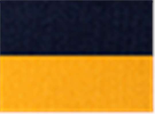 Swatch for Navy/ Gold