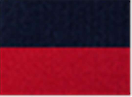 Swatch for Navy/ Red