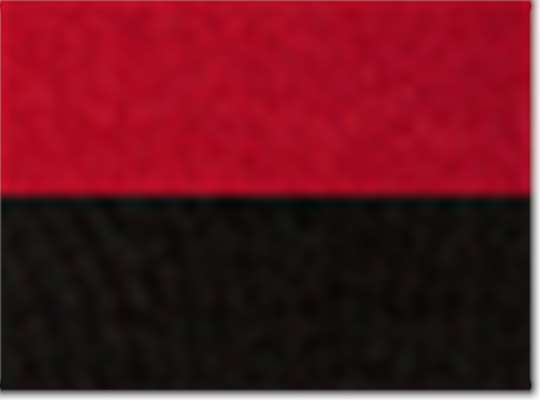 Swatch for Red/ Black