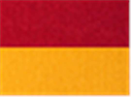 Swatch for Red/ Gold