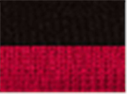 Swatch for Black/ Red