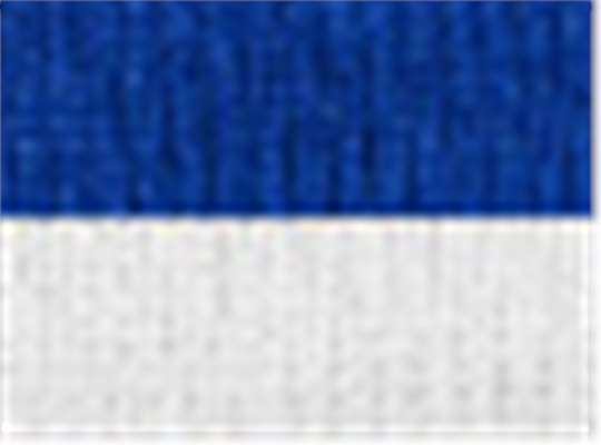 Swatch for Royal/ White