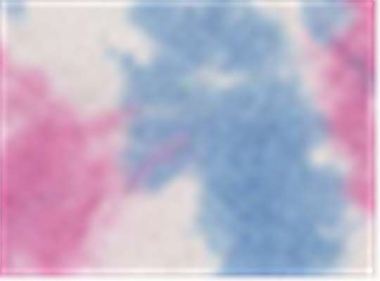 Swatch for Cotton Candy