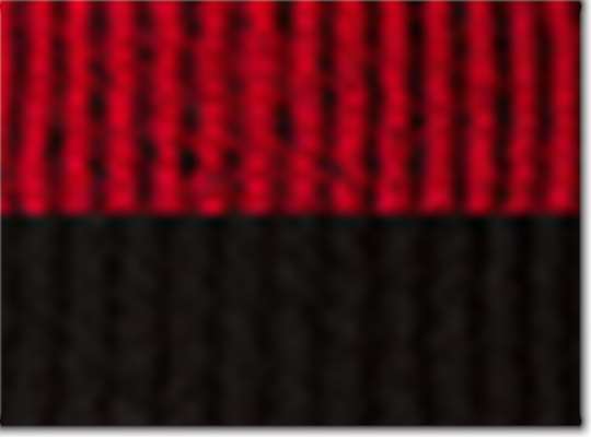 Swatch for Red/ Black