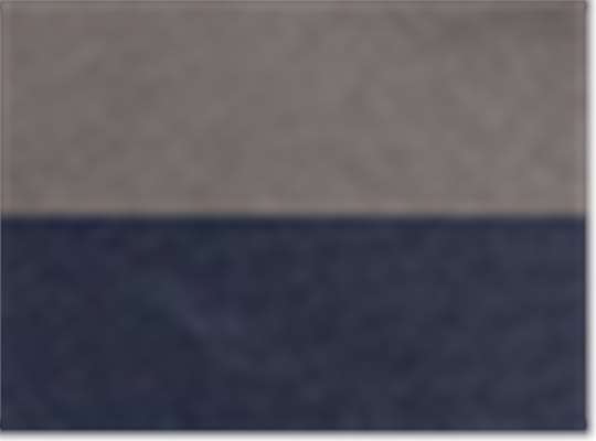 Swatch for Dark Grey/ Navy
